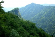 Pieniny