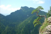 Pieniny